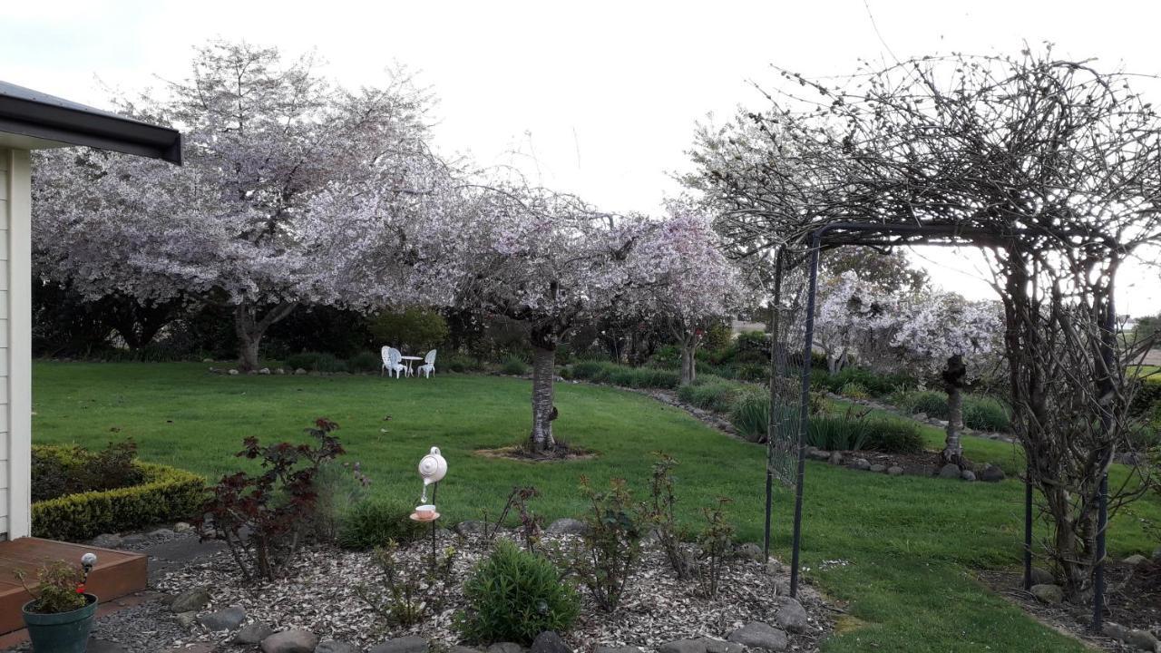 מטאמאטה Kaimai Sunset Bed & Breakfast מראה חיצוני תמונה